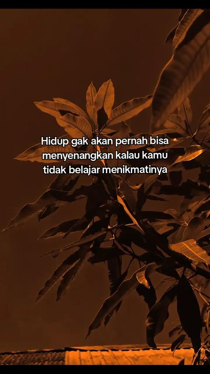 @Dina