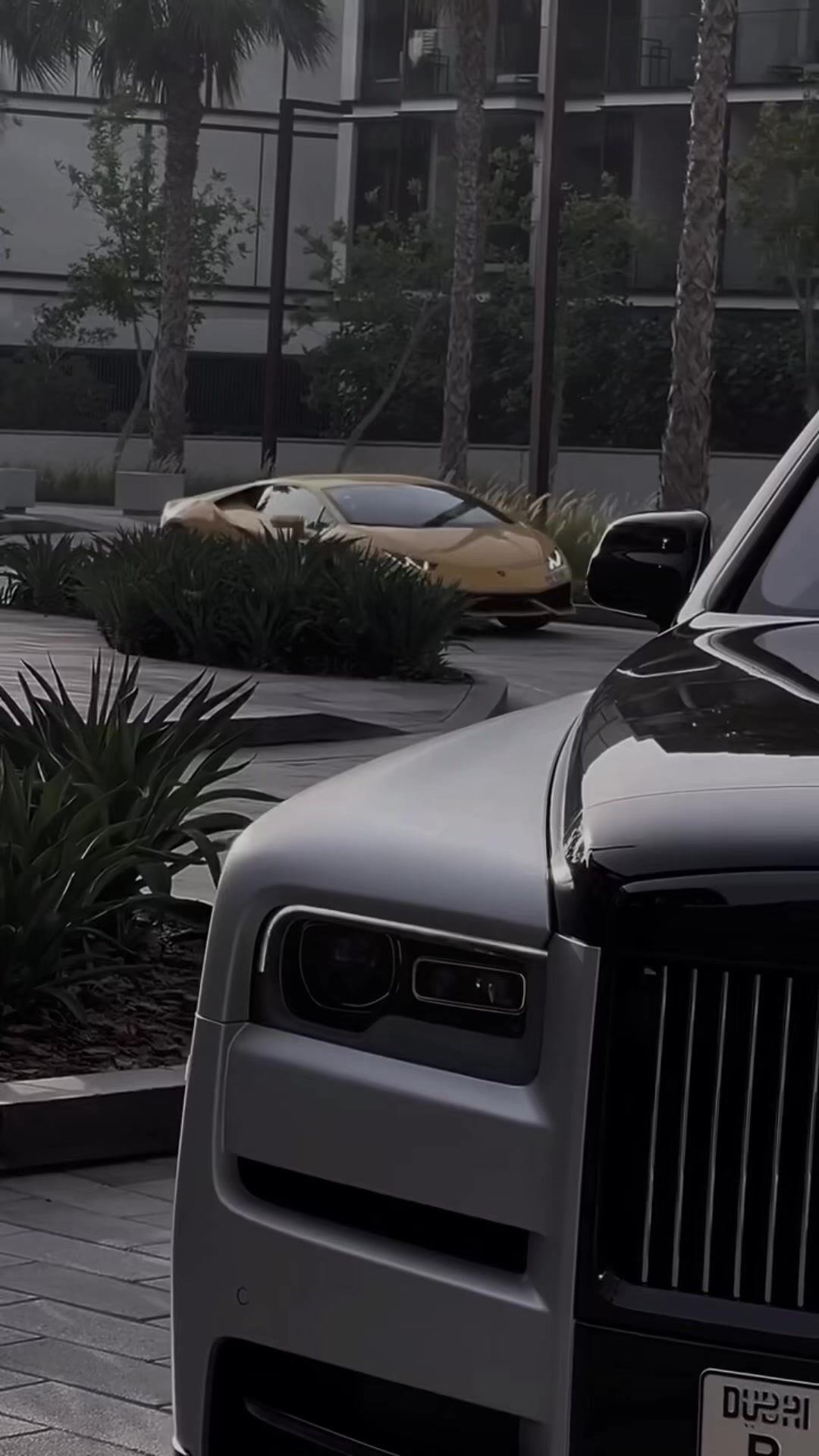 @Luxe Aestique