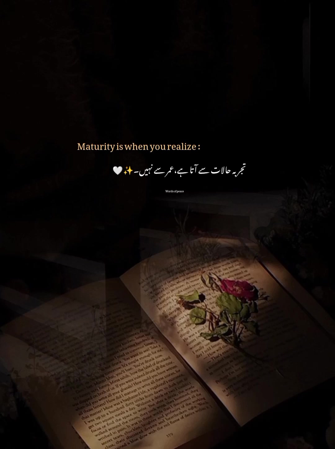@قلم کی نمی🥀