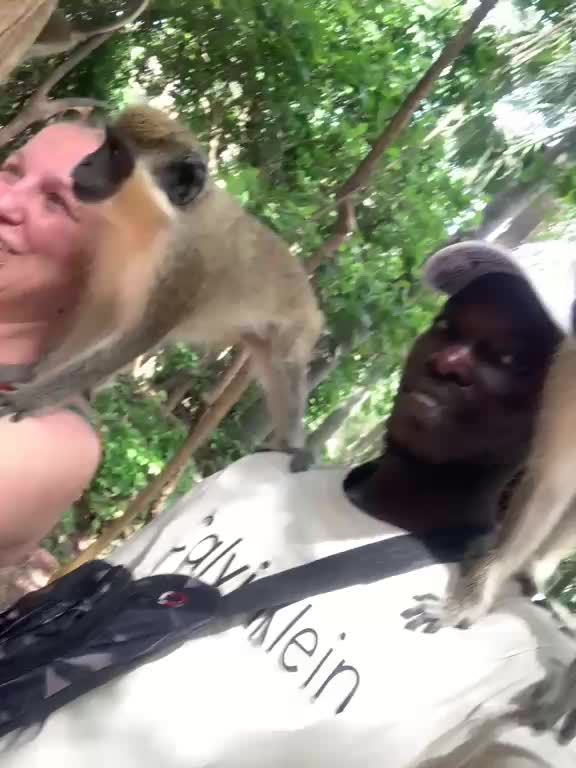 @Couple mr and mrs Ceesay🇬🇲