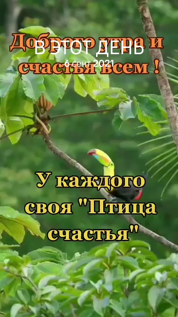 @@olya