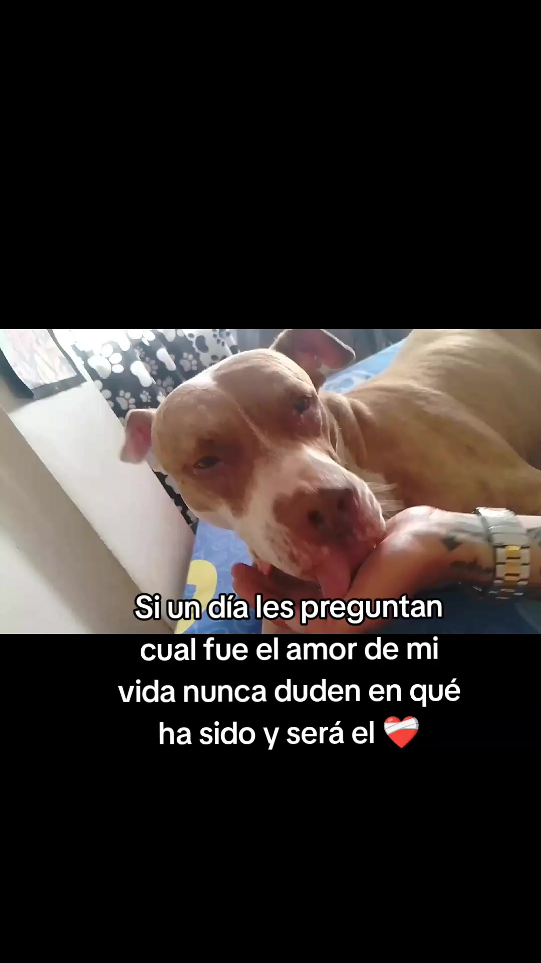 @TablonPlay