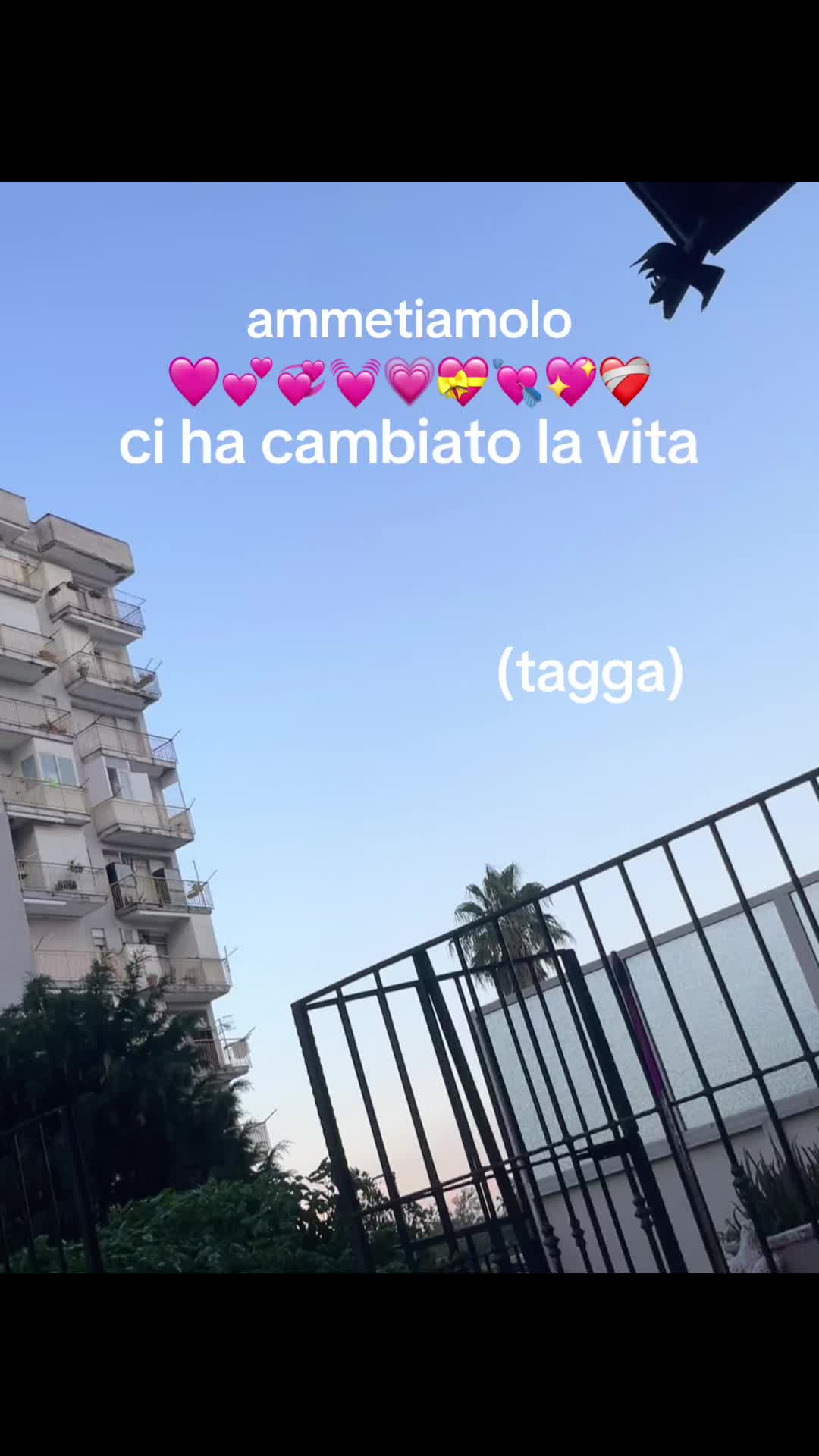 @angii.e.anna__