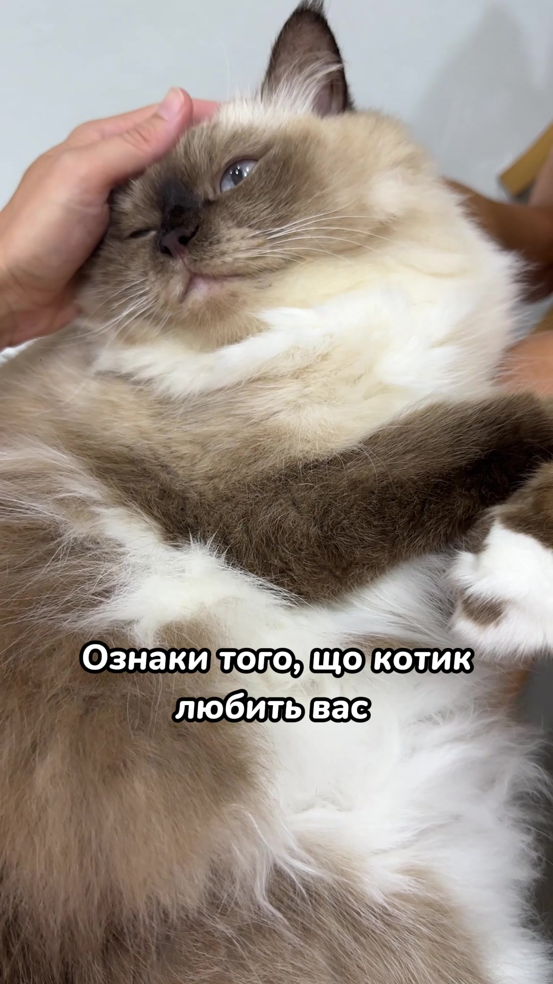 @Місс КІСЯ