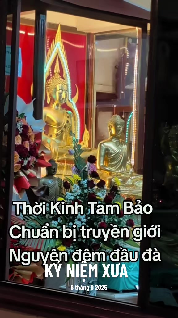 @TK Bảo &Acirc;n