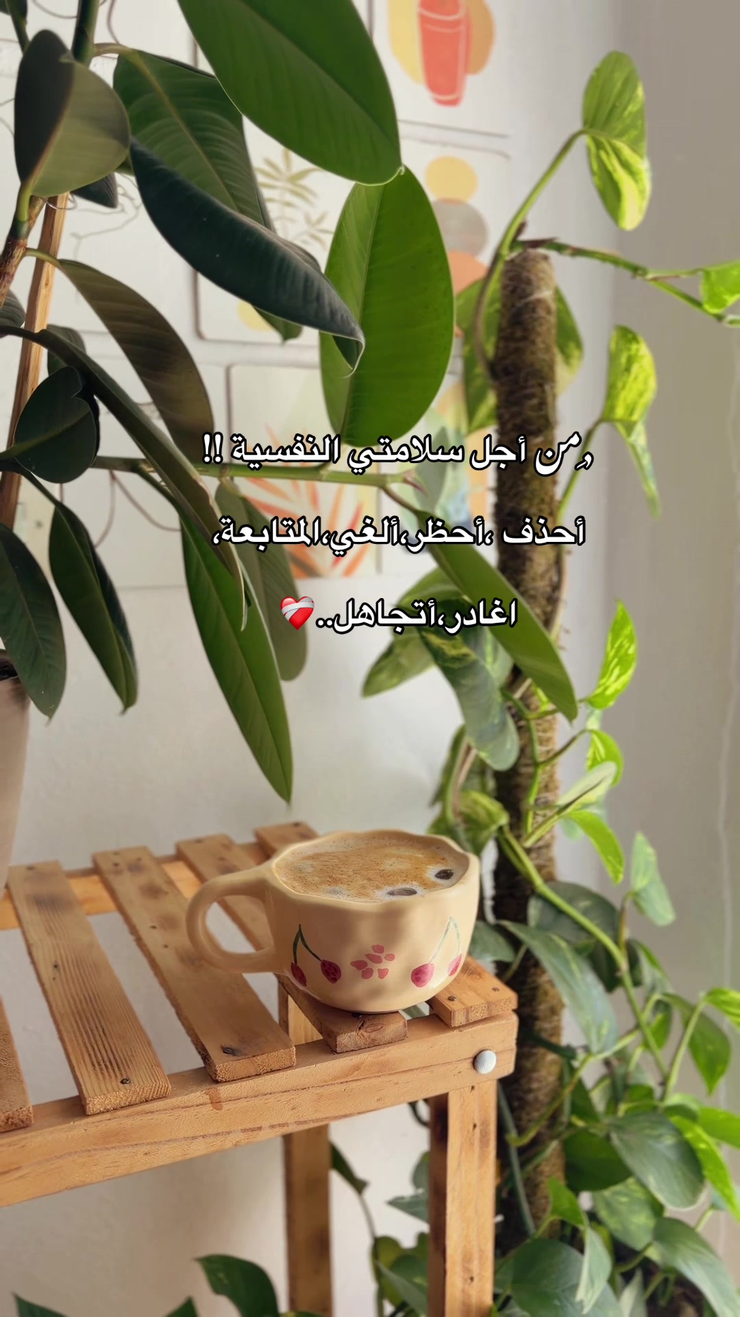@🌱📸 𝐒𝐀𝐋𝐌𝐀_سلمى