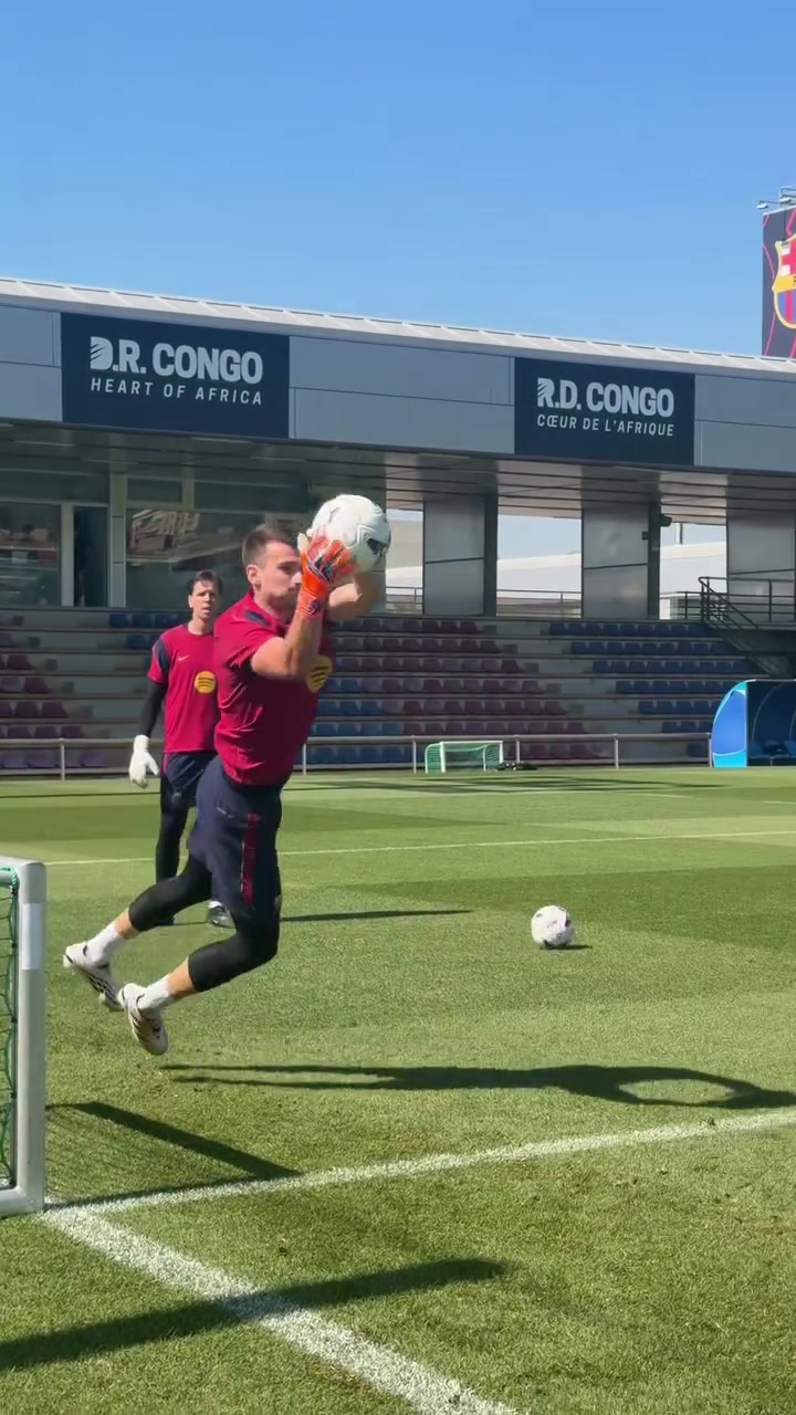 @Goalkeeping Development