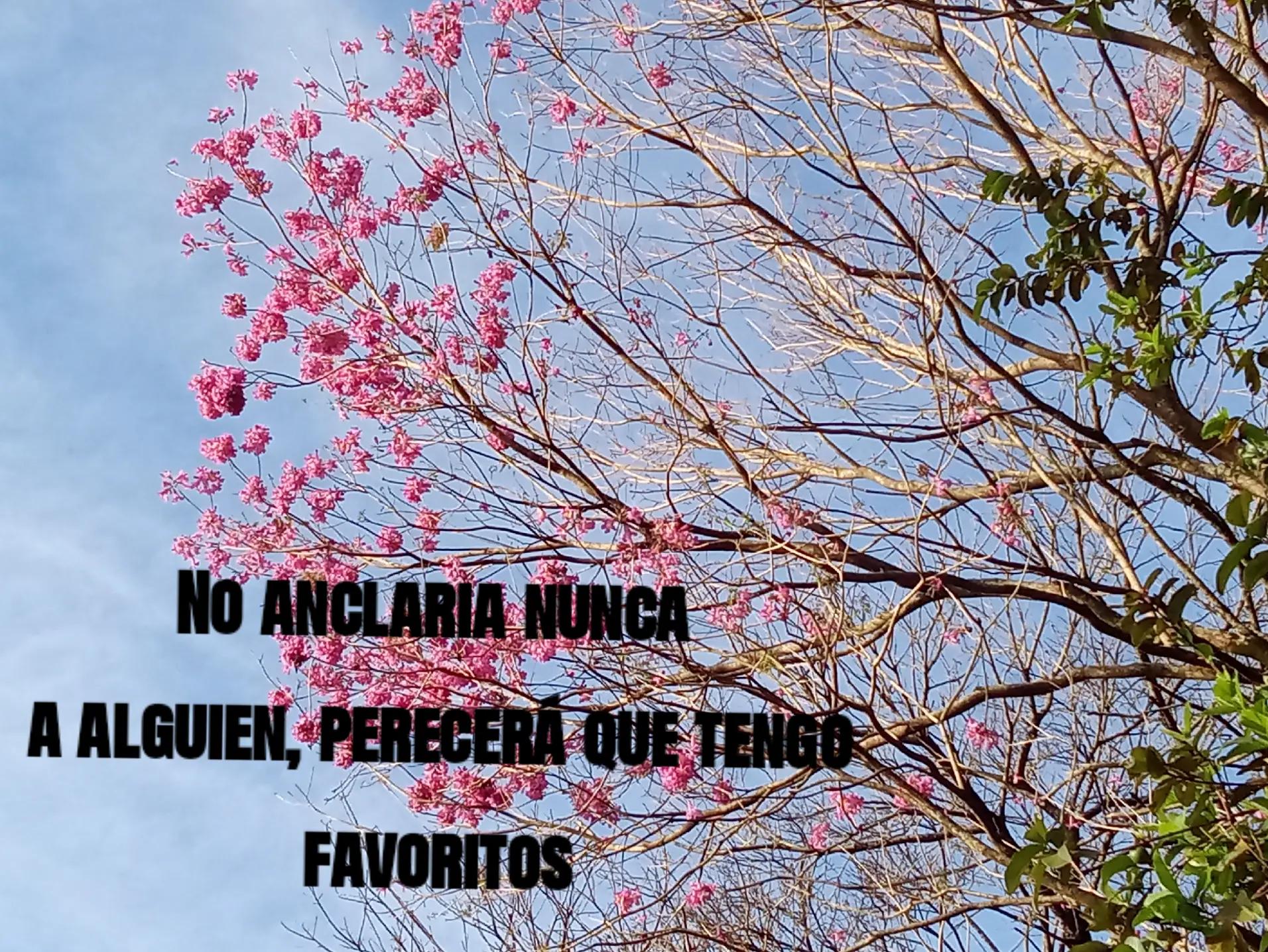@🎀 𝒦𝒜𝒯𝐸🎀