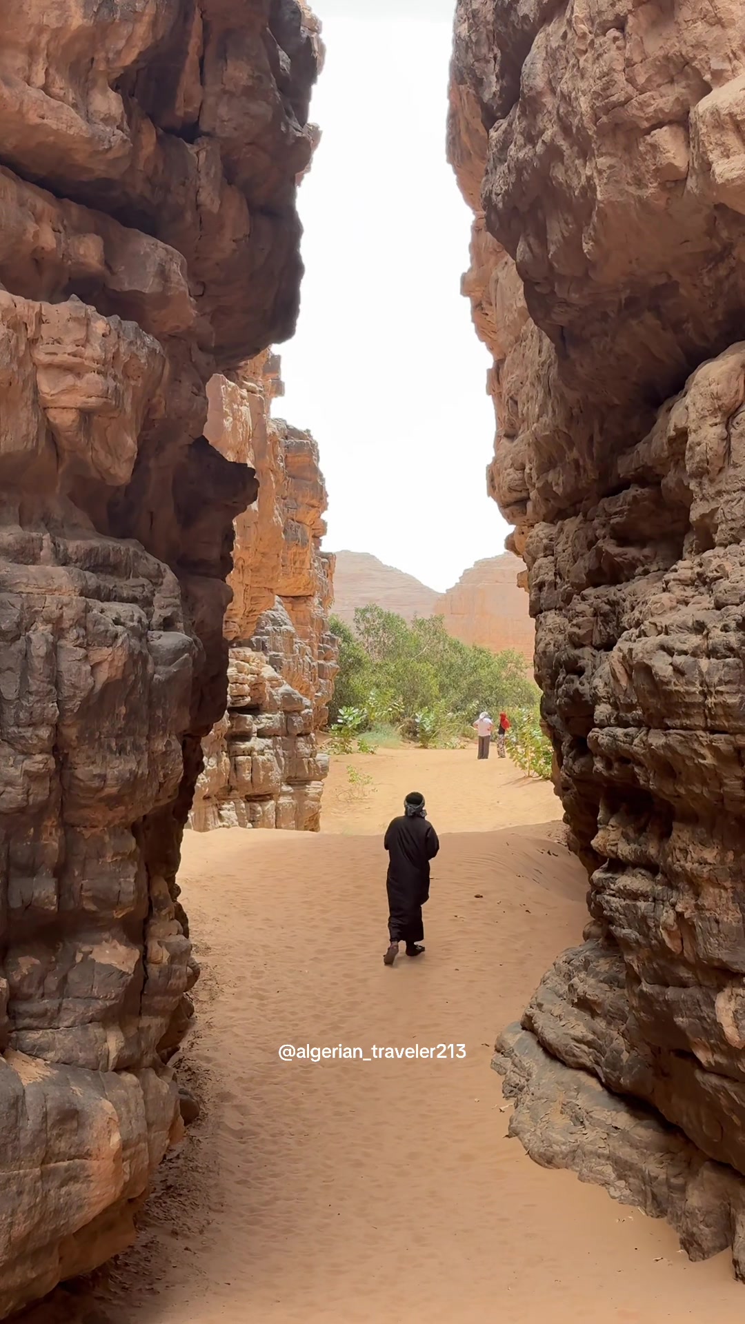 @Alg&eacute;rienne🇩🇿