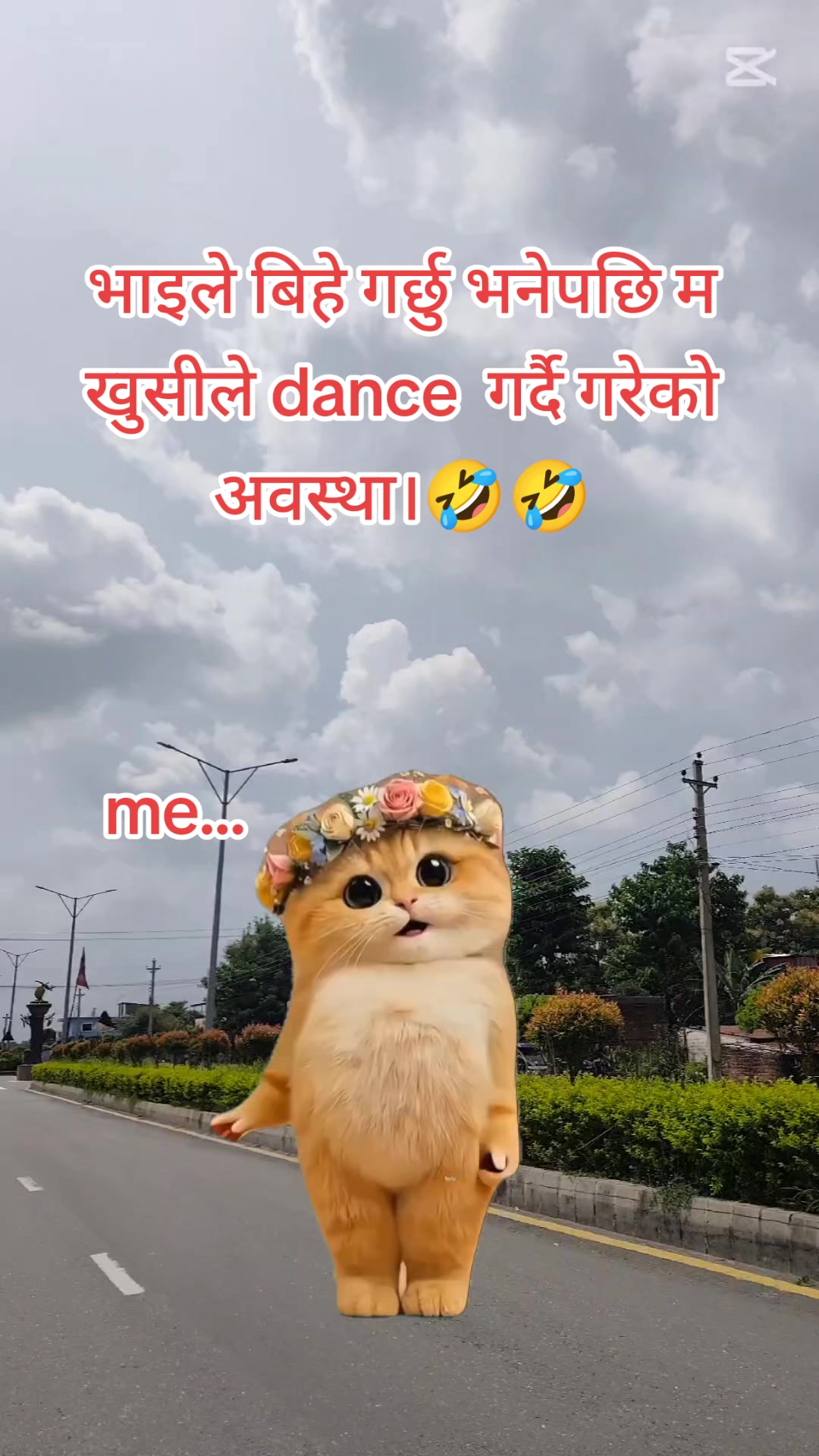 @Himani Basnet