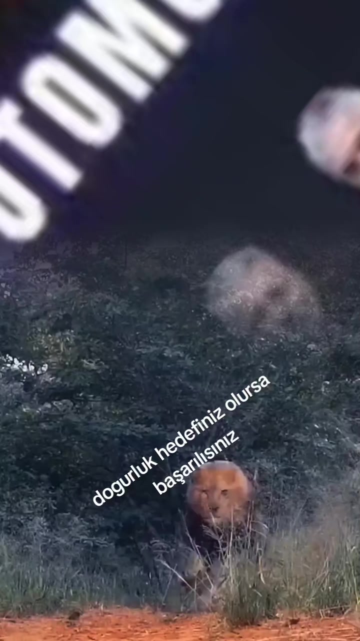 @Muzaffer &ouml;zel g&ouml;rev