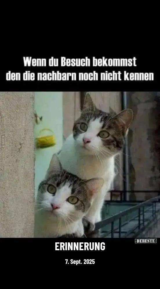 @Michimausi