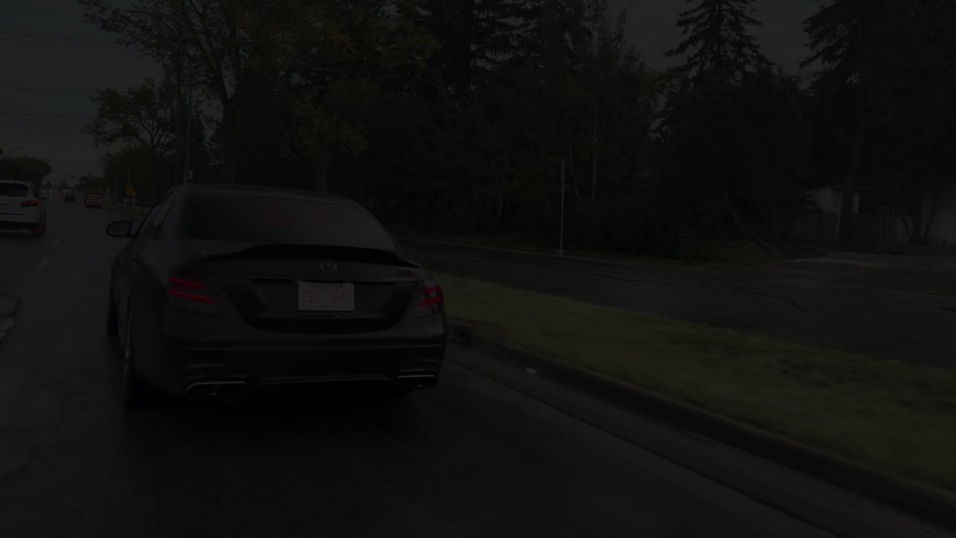 @w213.ylli