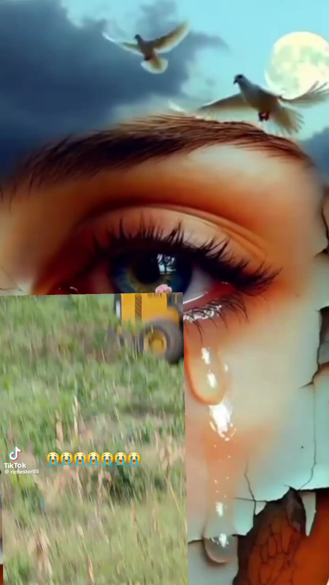 @Awaab