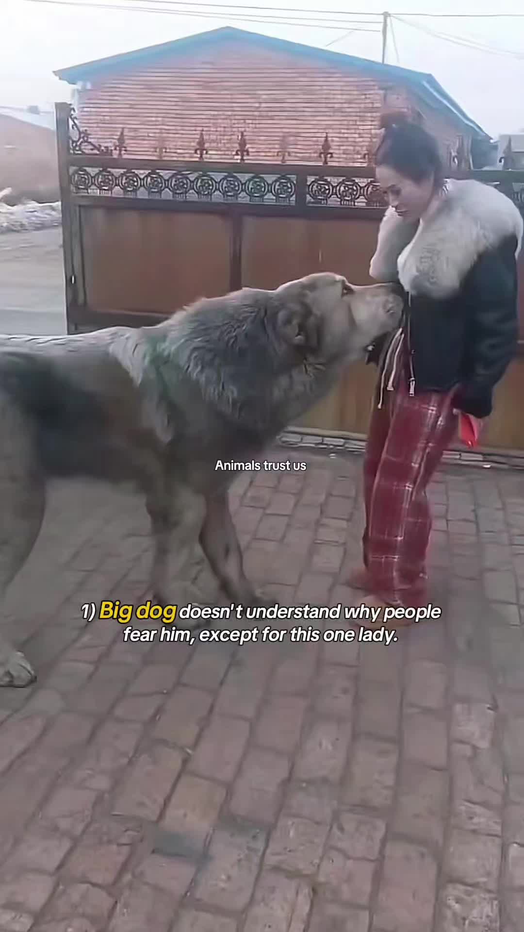 @WildwonderzZzz