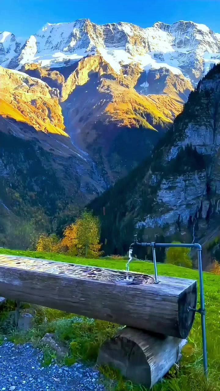@Wazir Jani