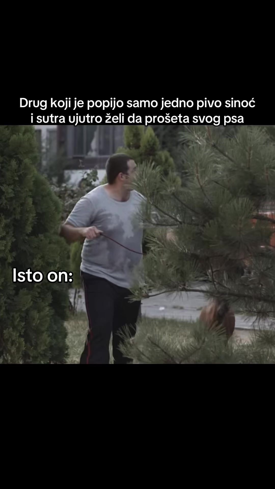 @wiwiel