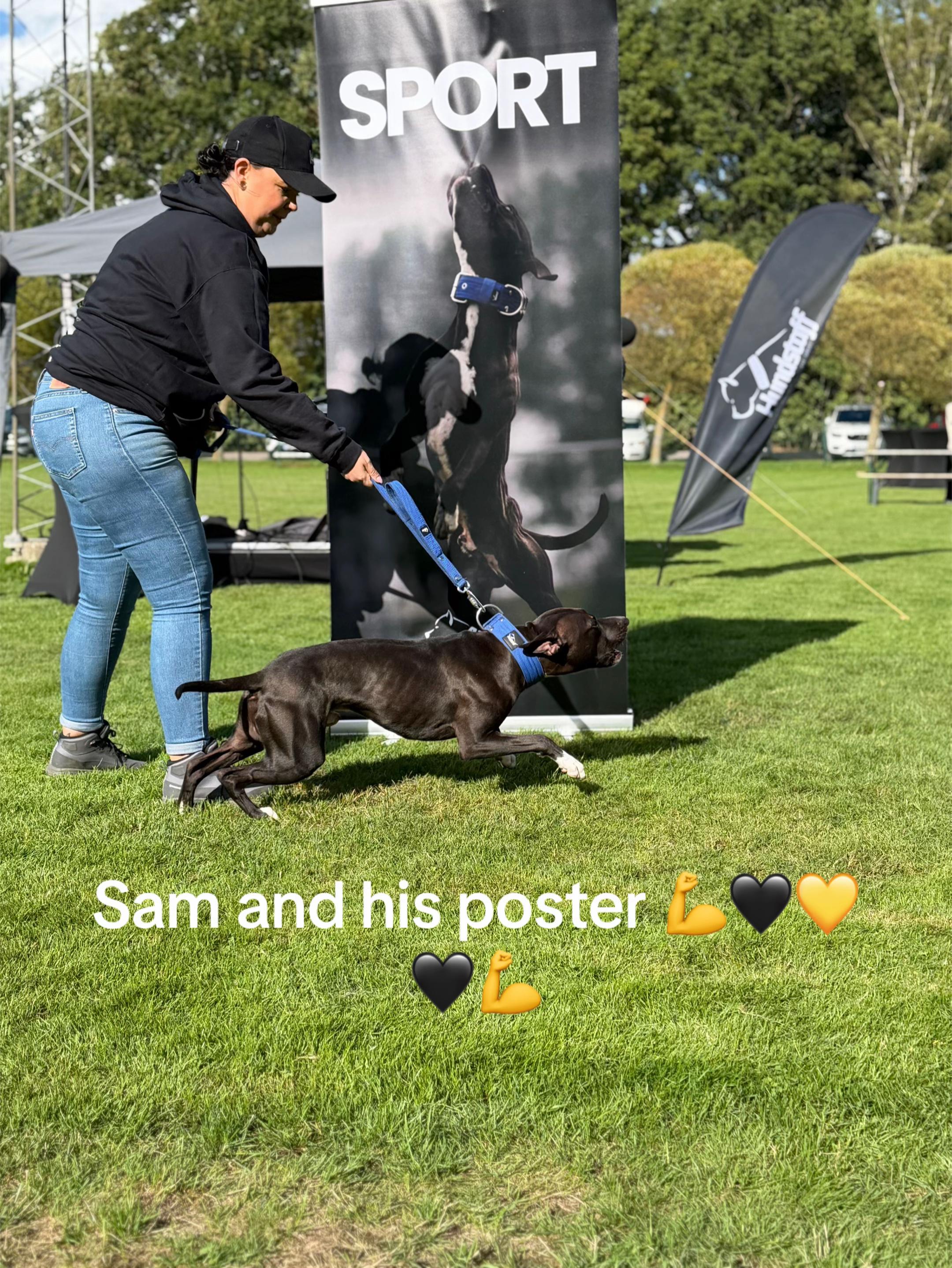 @SDS (soul dog Sweden) 🇸🇪