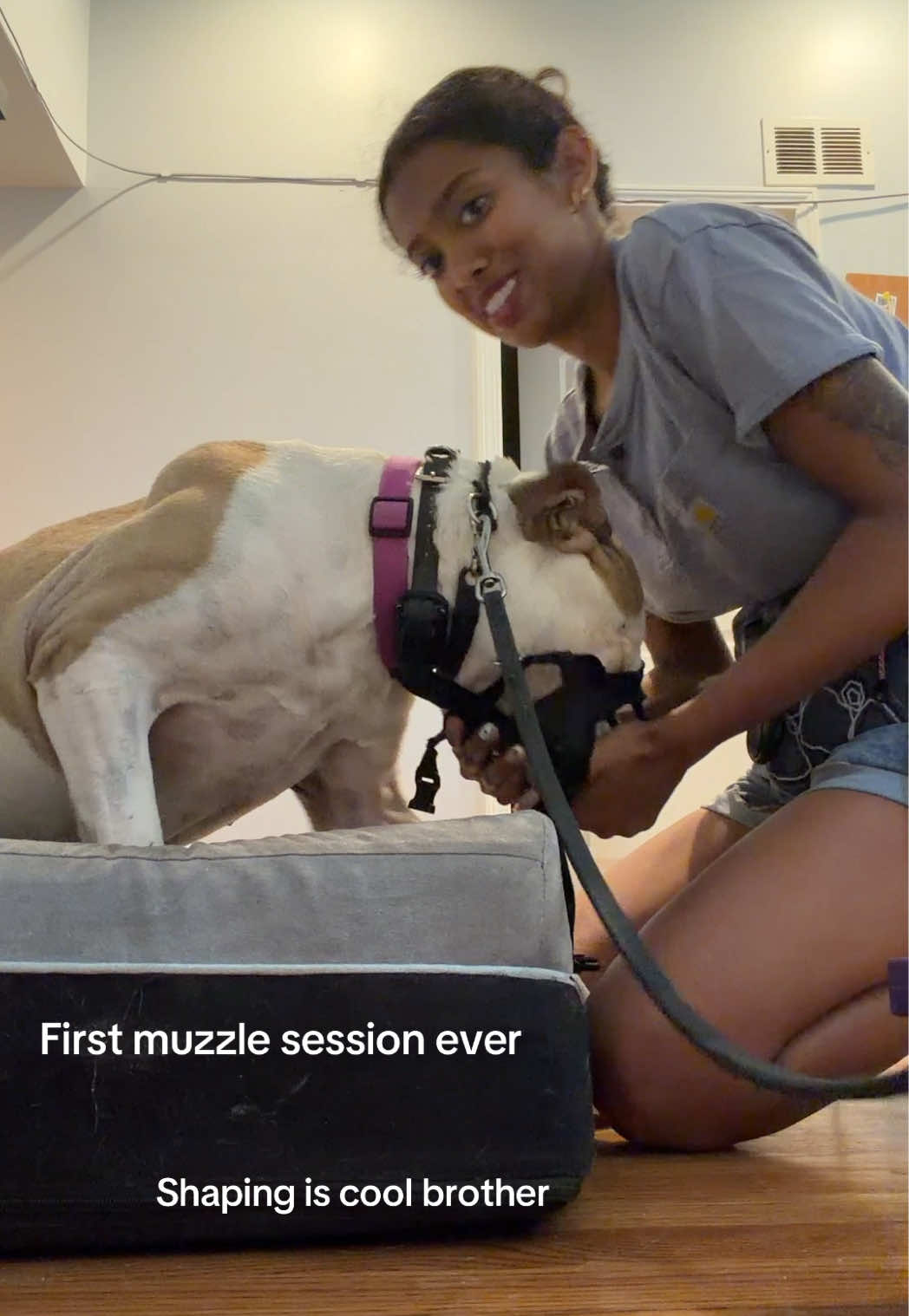 @dogstrainjen