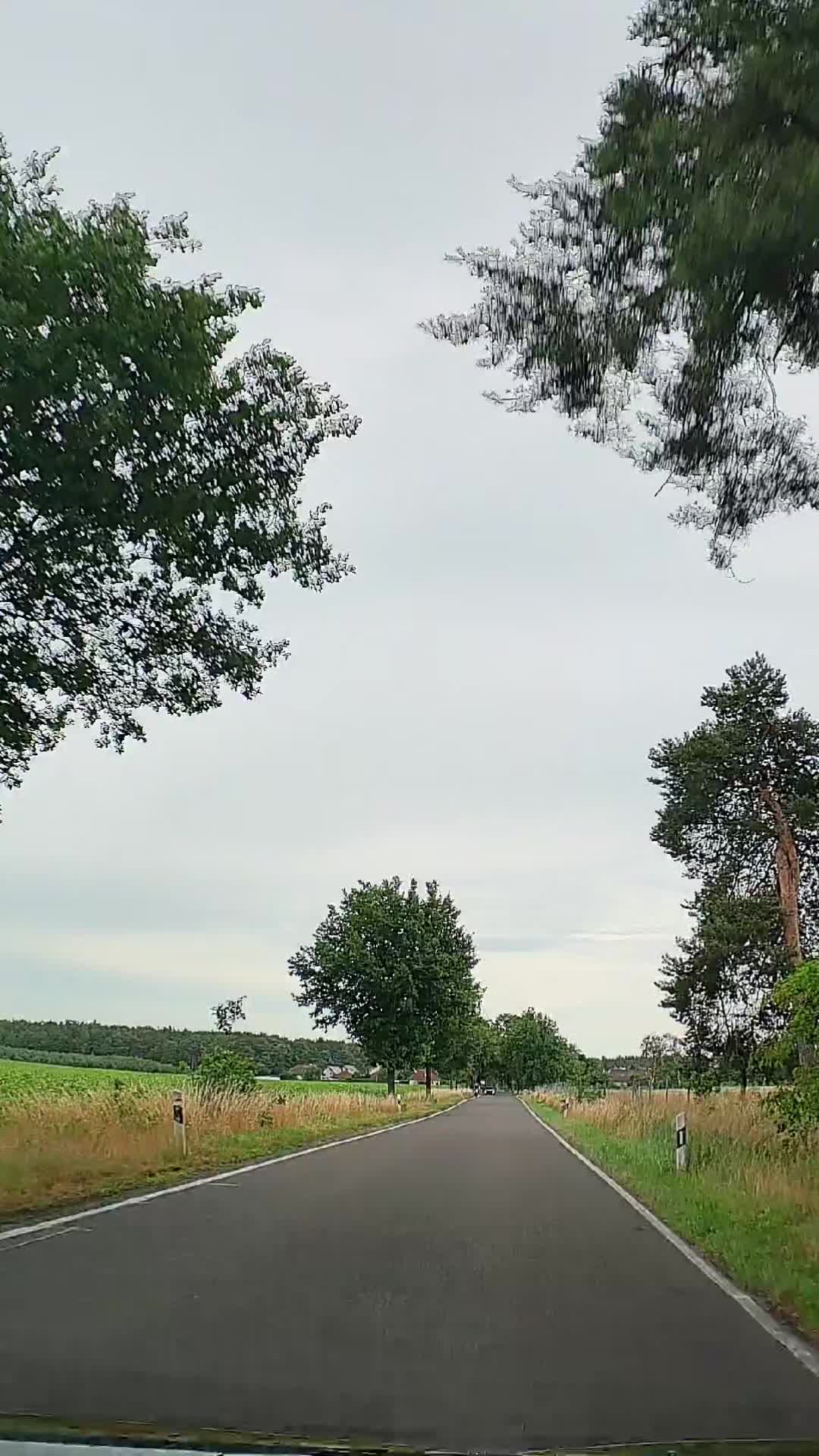 @Legus⚡Unterwegs 🚘