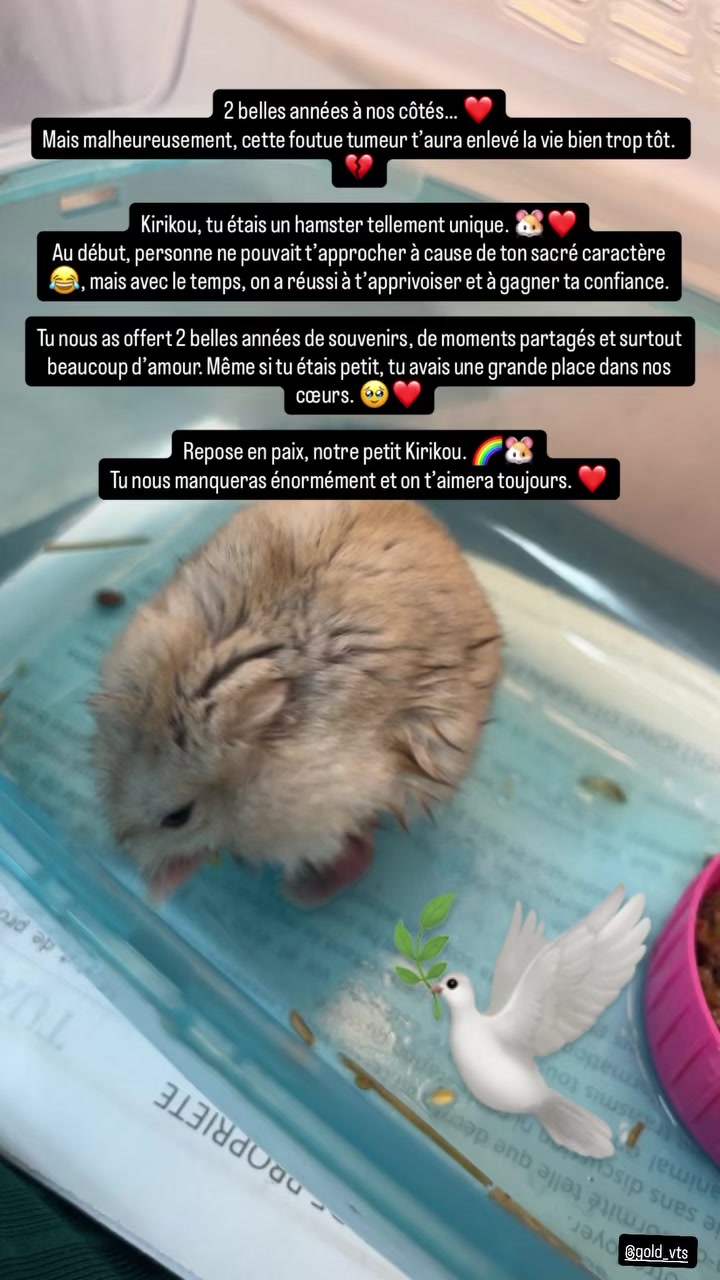 @Am&eacute;lia Mom of Tim&eacute;o 🩵