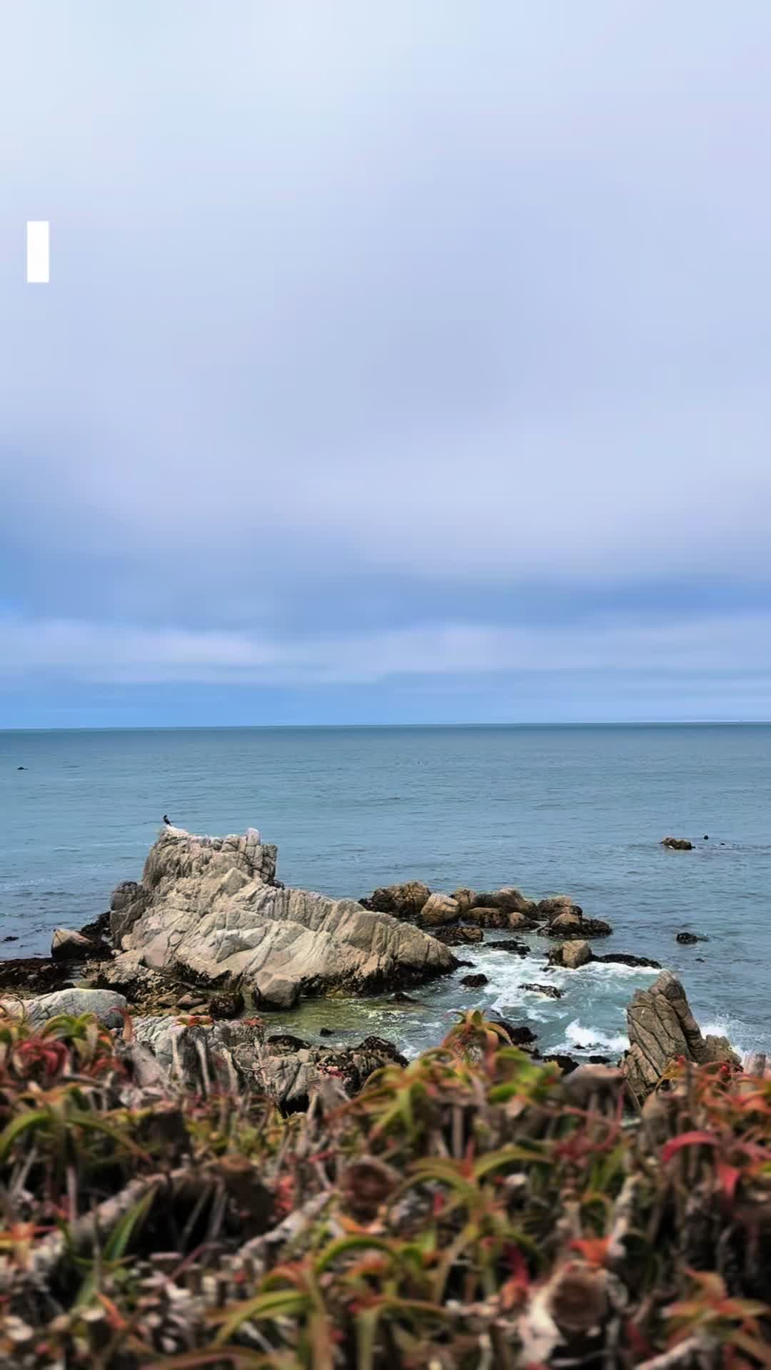 @EscapeToNature