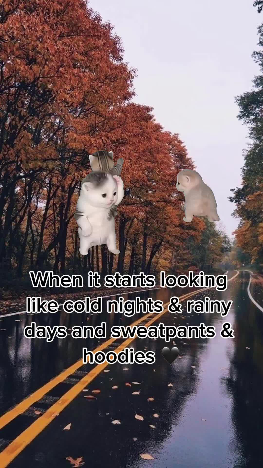 @sky_xoly