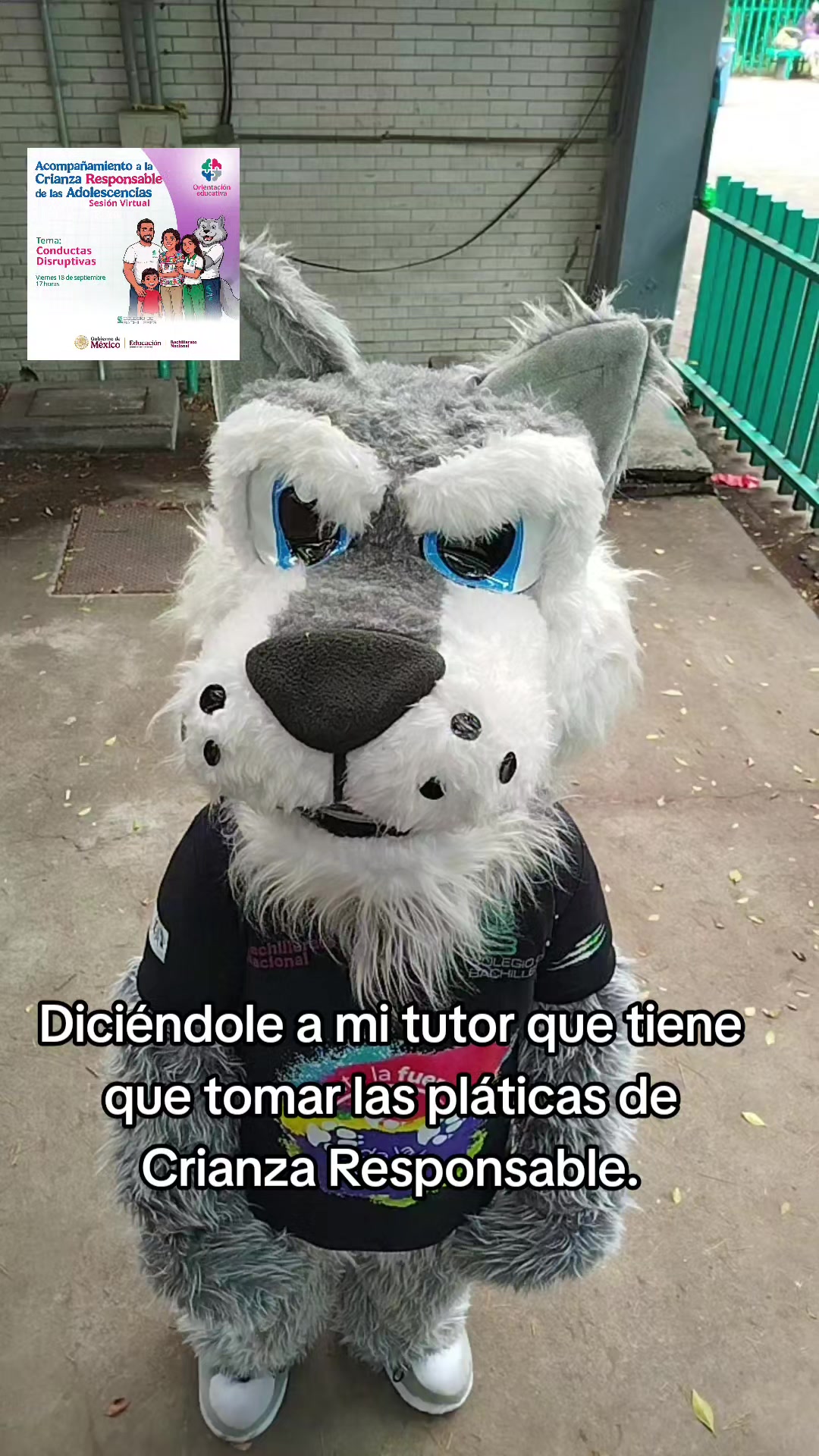 @Lobacho