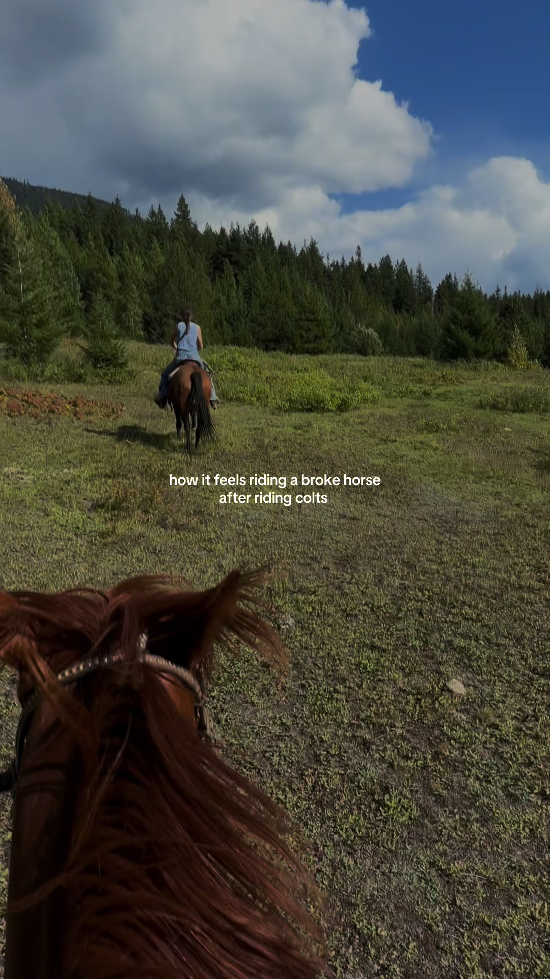 @Ranch Riders