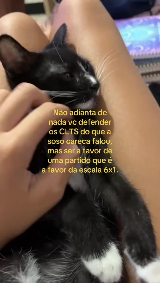 @letmedvguillen