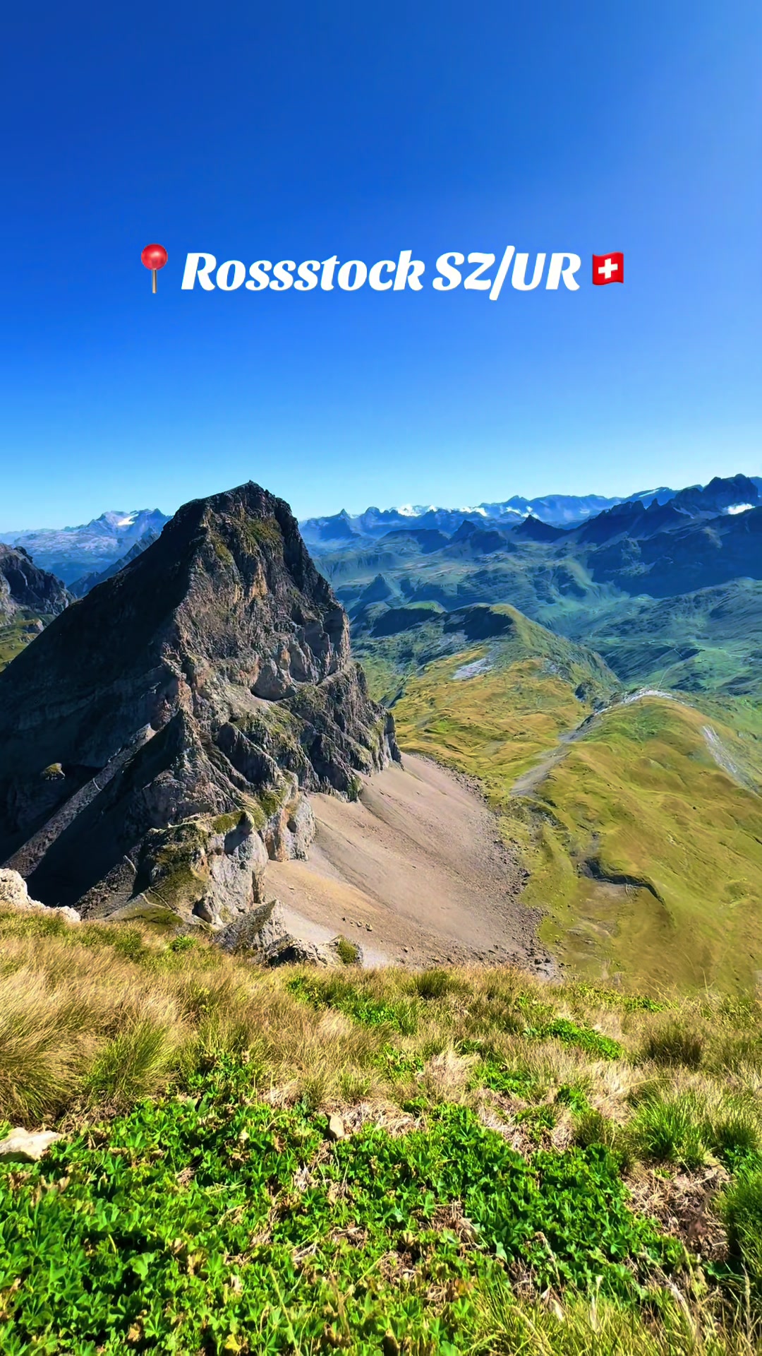 @swiss_alps