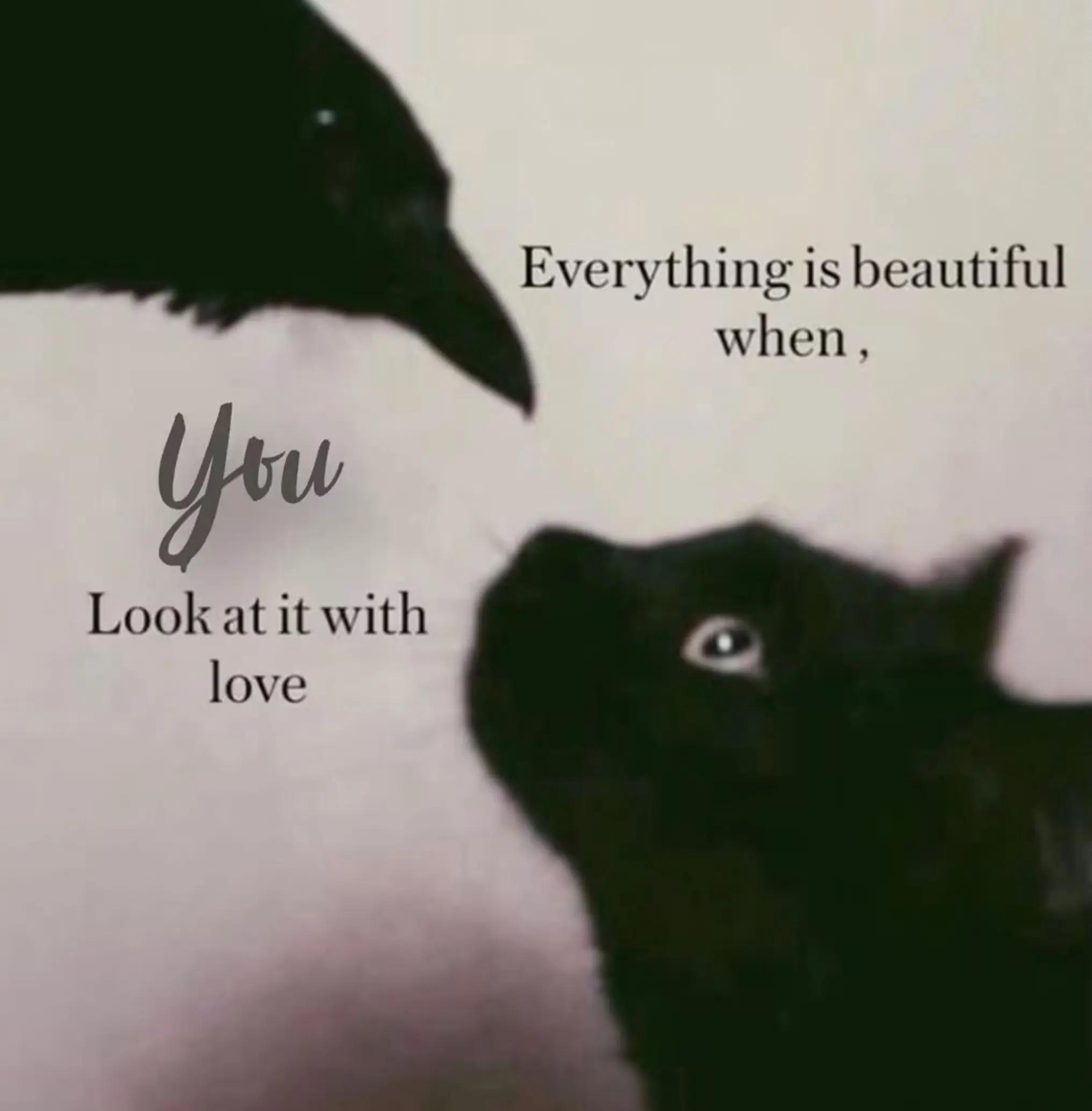 @Angel M. A.