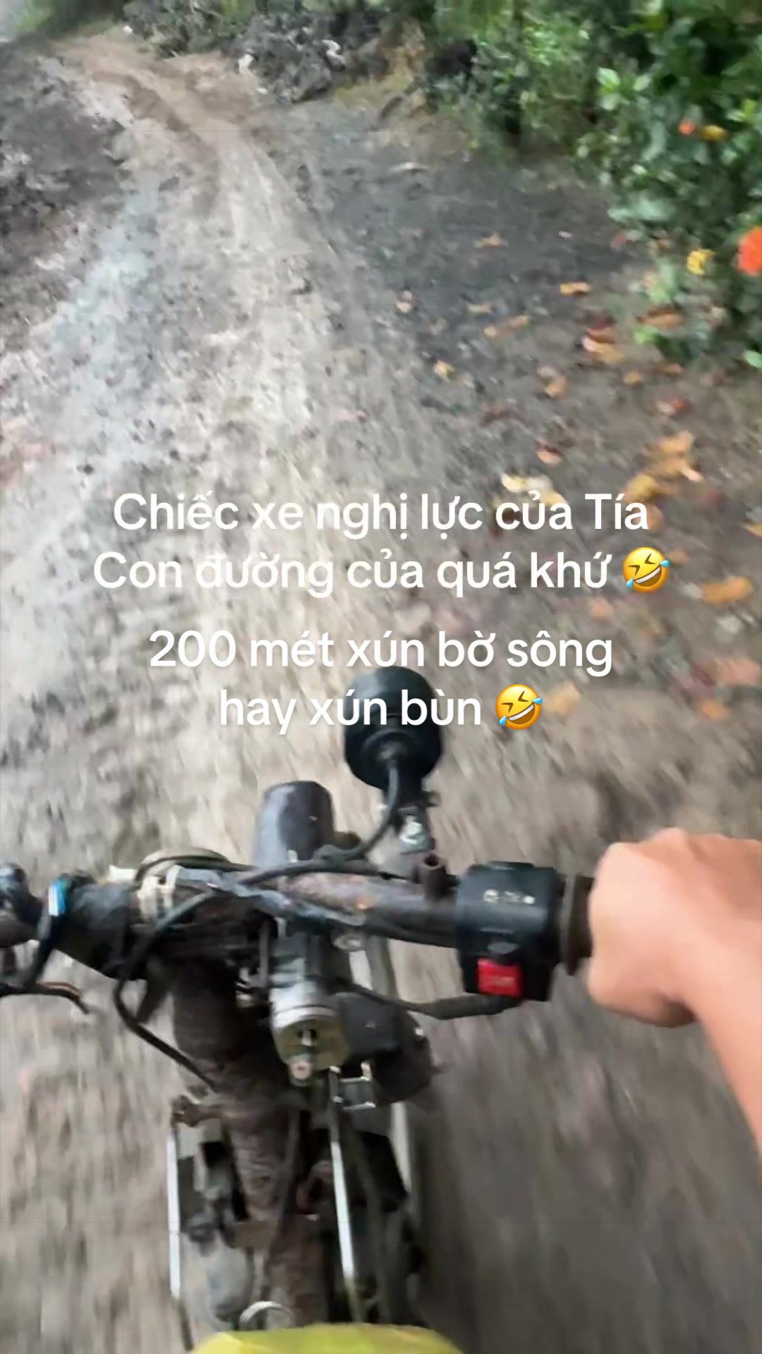 @Diên Diên