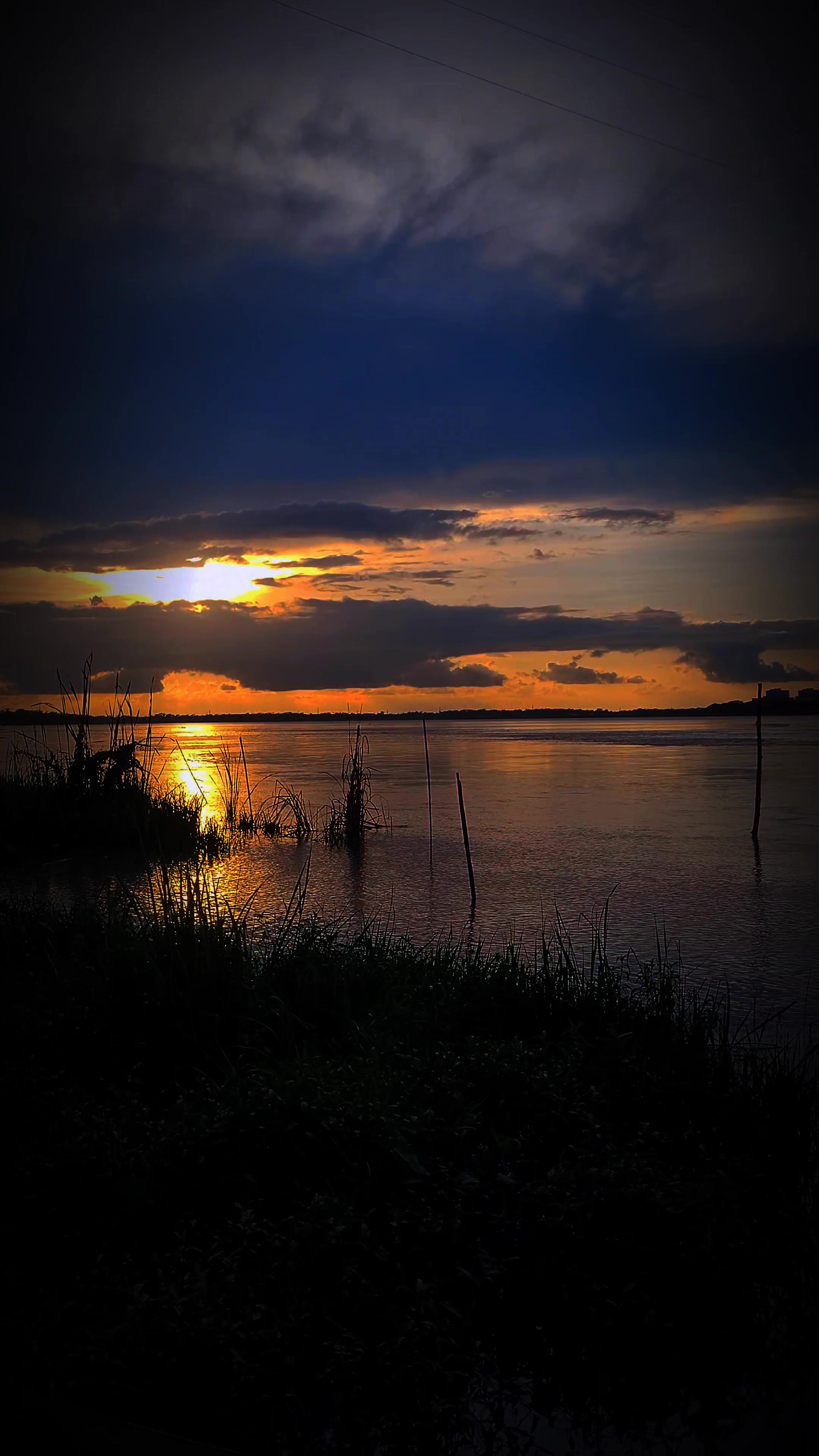 @Close to Nature. 🇧🇩