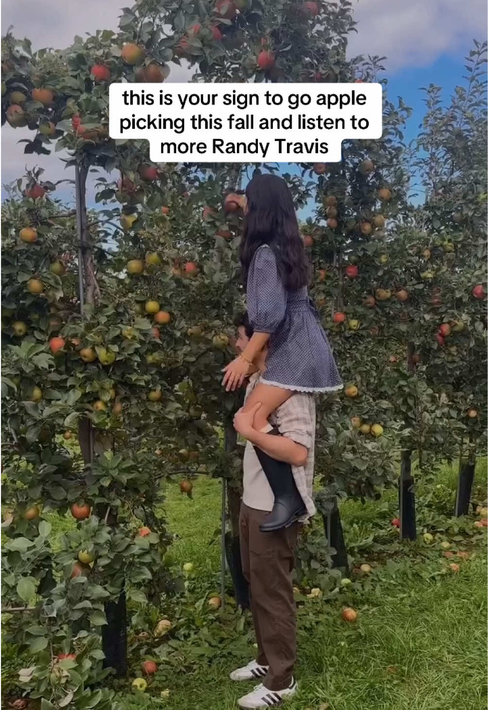 @soundsseeker