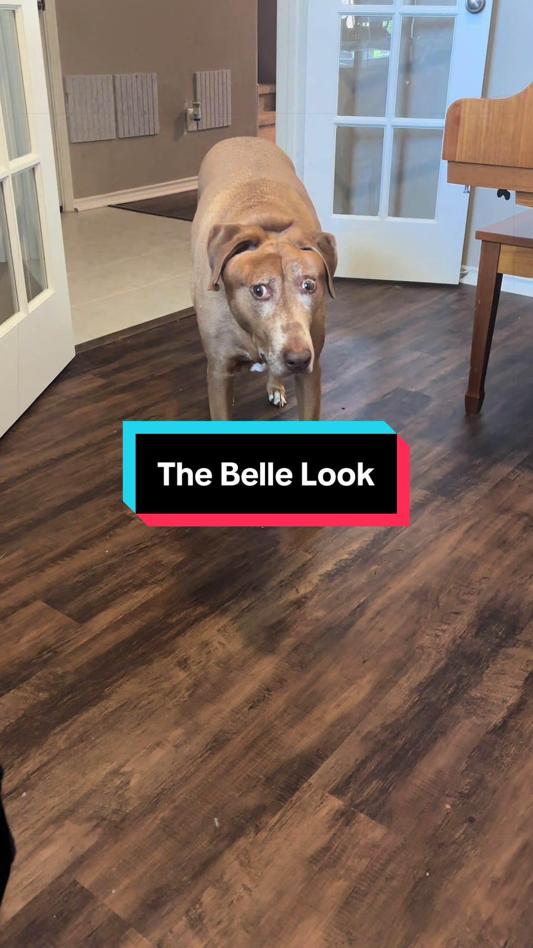 @Belle O&rsquo;Neill