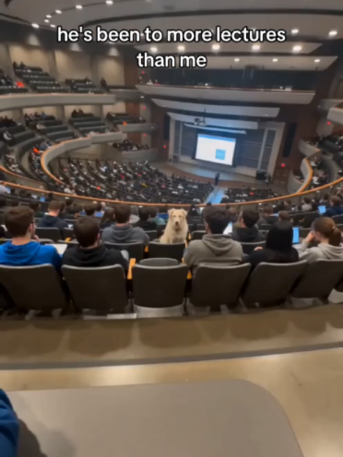 @onlyhousemusic