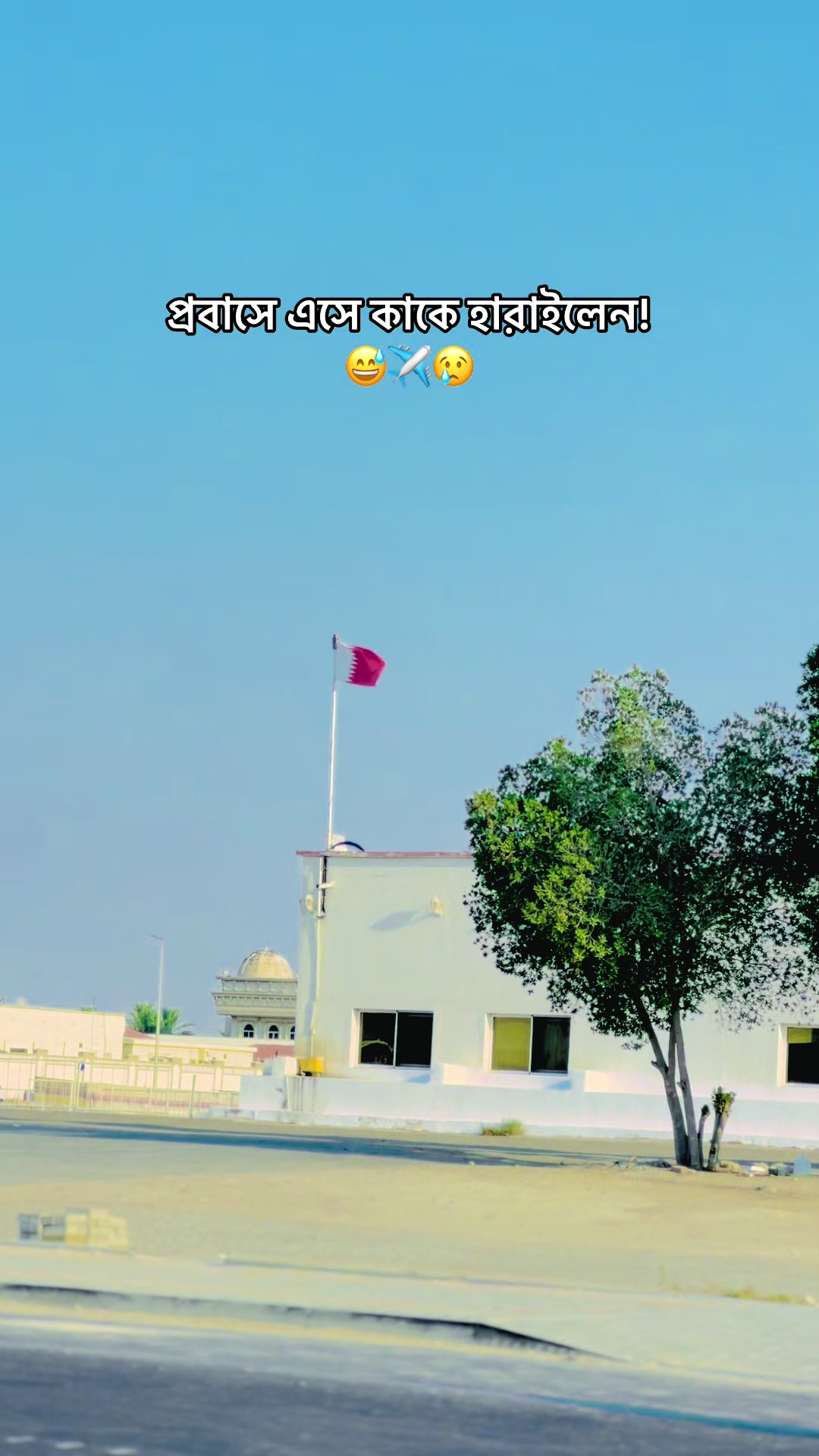 @𝐌𝐞ℍ𝕖𝐷𝑖 𝗛𝗮𝒮𝒶𝗡 _ツ