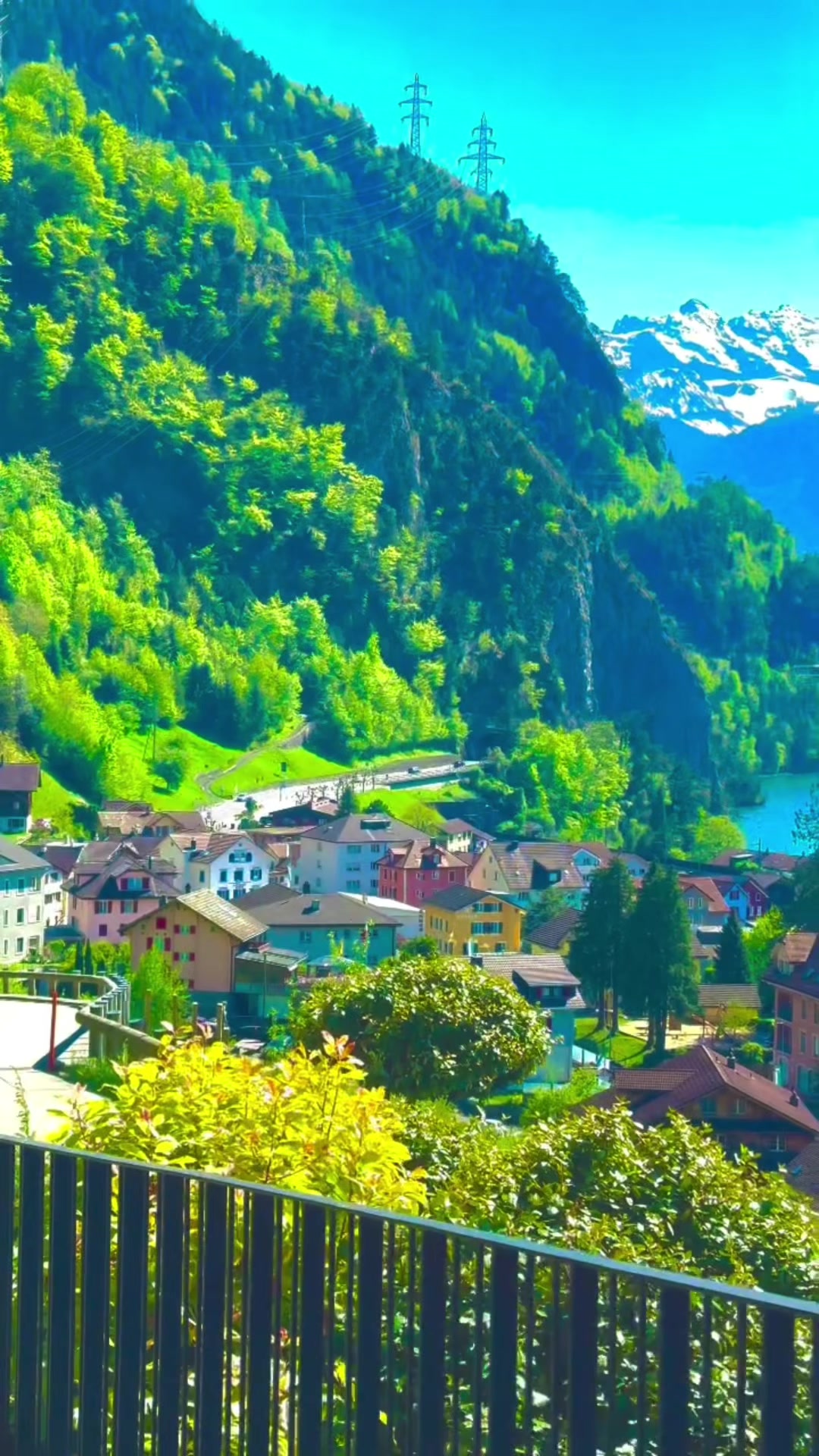 @S̳w̳i̳s̳s̳🇨🇭s̳c̳h̳w̳e̳i̳z̳