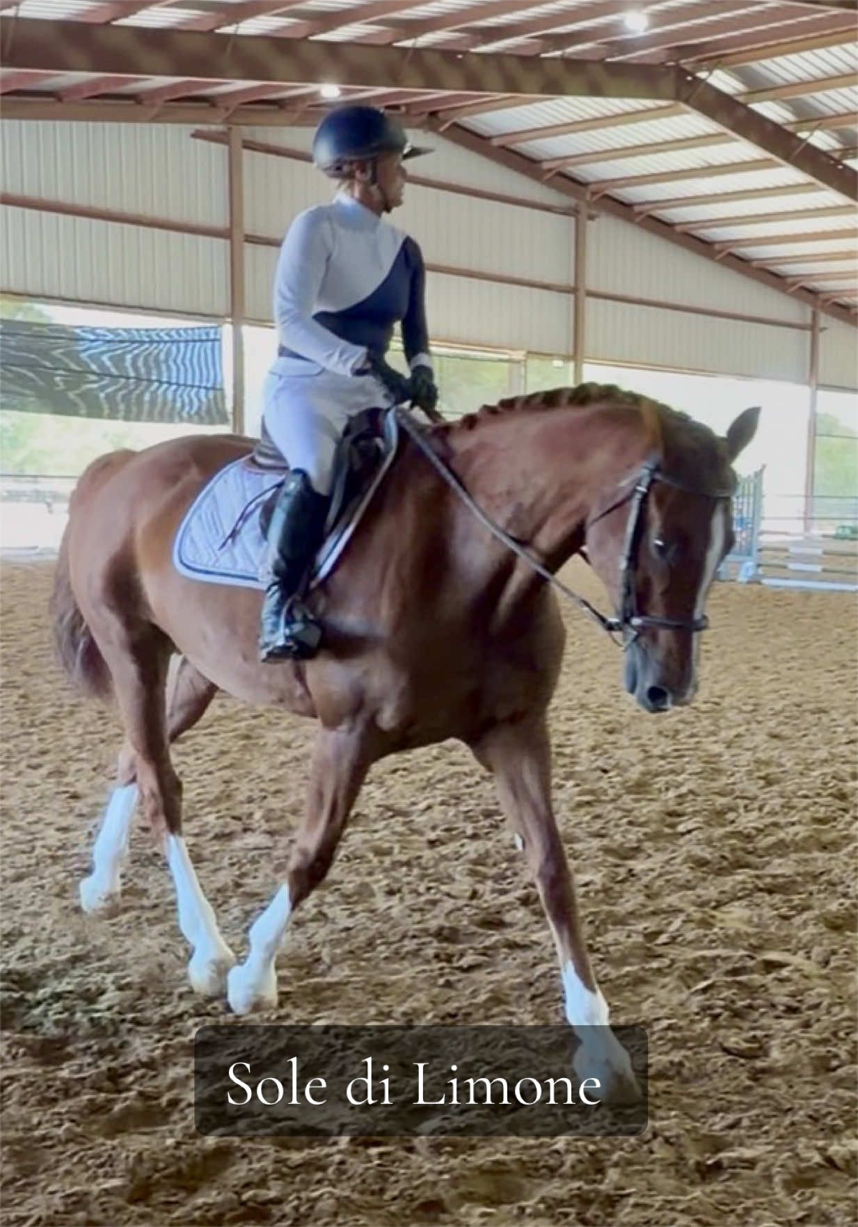 @Grace Equestrian TX