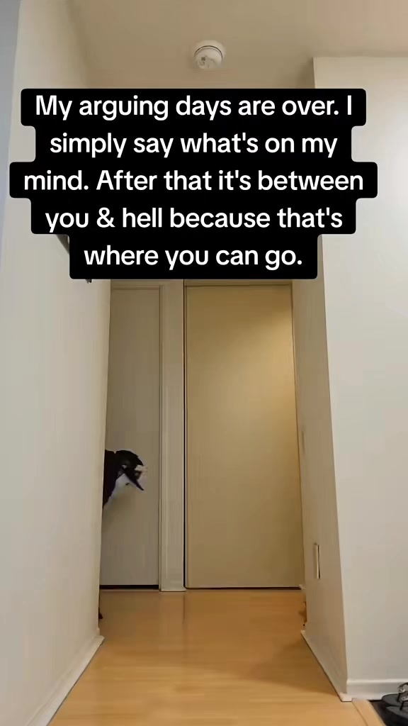 @Zee2.0