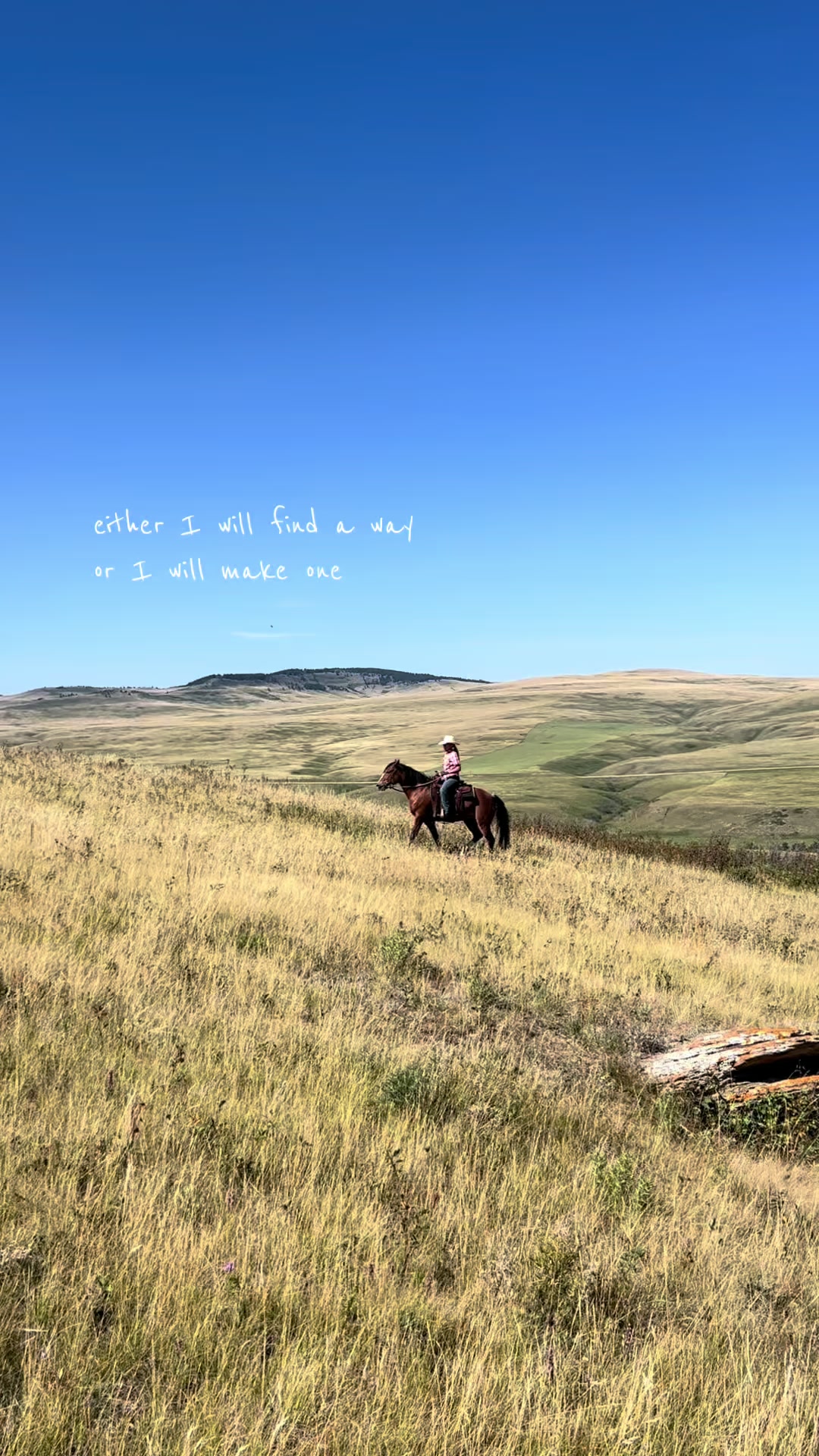 @Ranch Riders