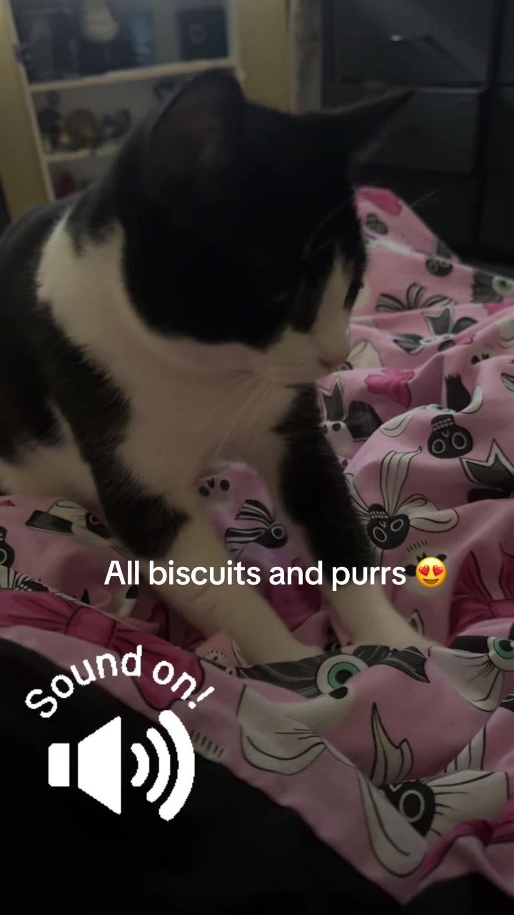 @Paigeyy