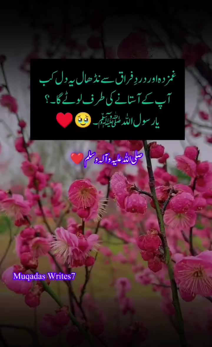 @Muqadas Writes
