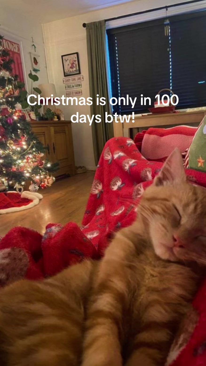 @christmas vibes!