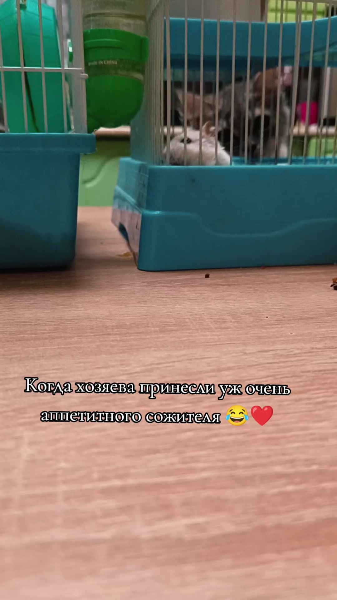 @𝓚𝓻𝓲𝓼𝓽𝓲𝓷𝓪🤍