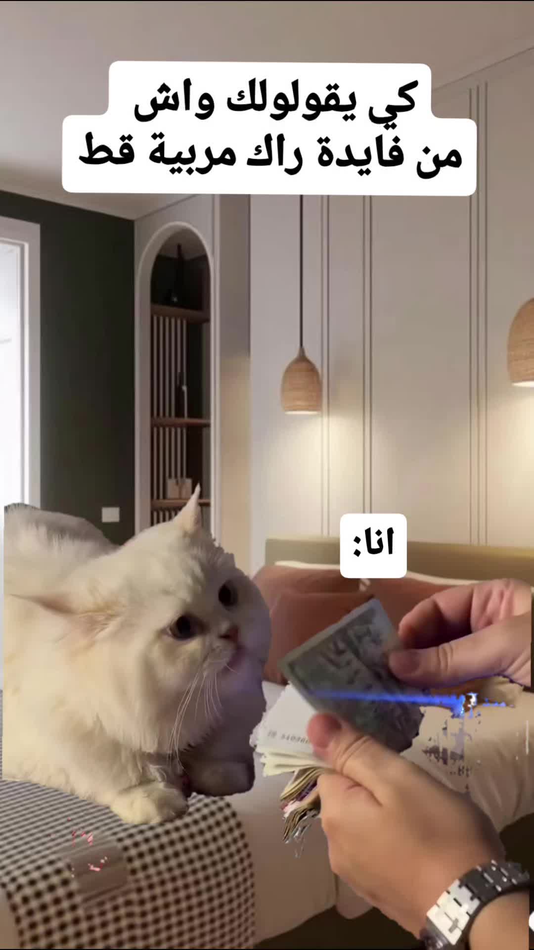 @🥇 ماشي نورمال 😂