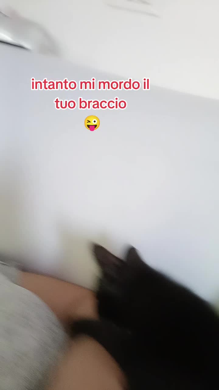 @vincenza