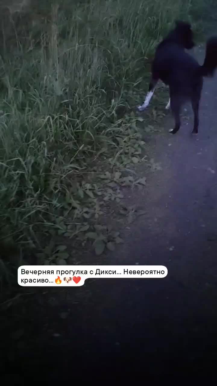 @Lenochka