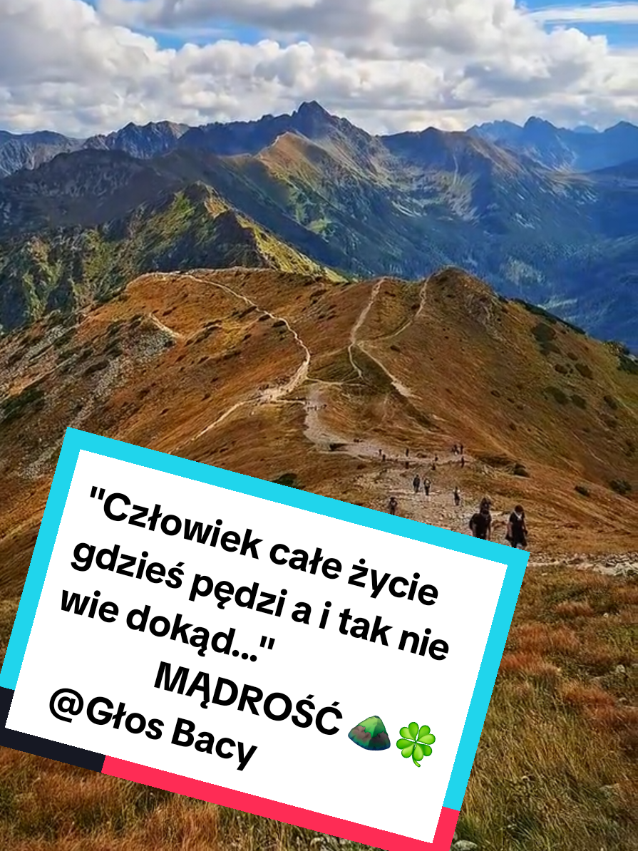 @Lucy